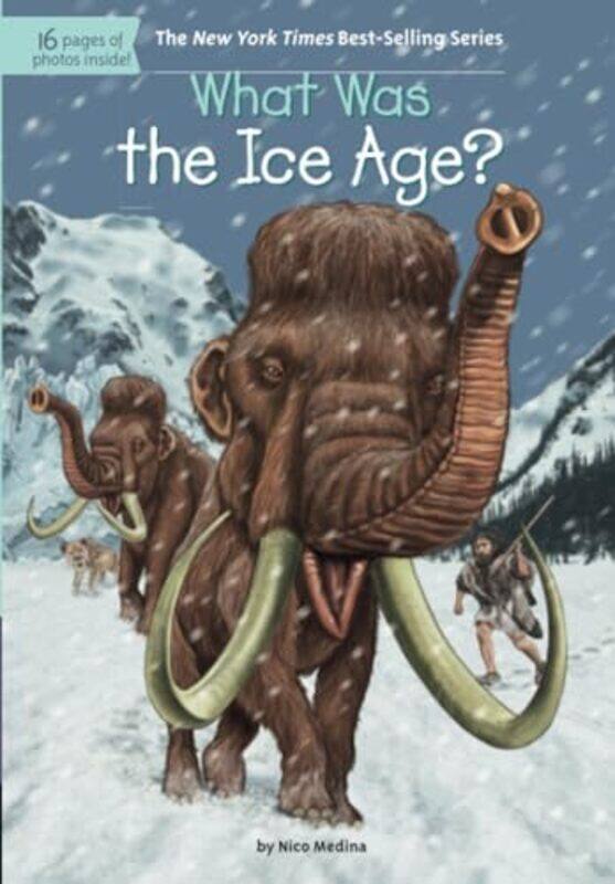 

What Was The Ice Age By Medina Nico - Paperback