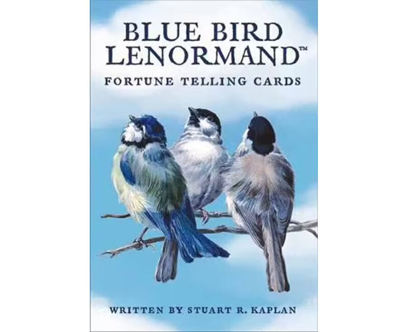 

Blue Bird Lenormand Fortune Telling Card Deck, Flash Cards, By: Stuart Kaplan
