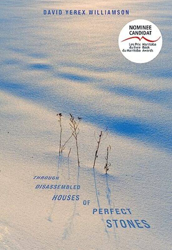 

Through Disassembled Houses Of Perfect Stones by David Williamson-Paperback