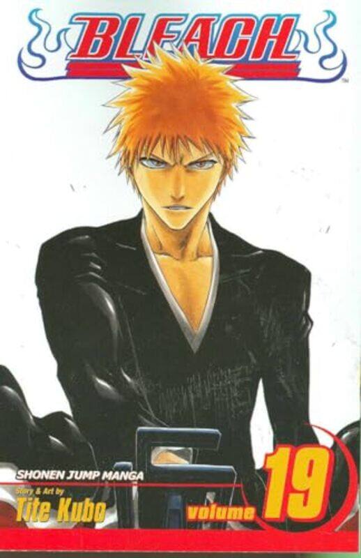 

Bleach V19 By V19 - Paperback