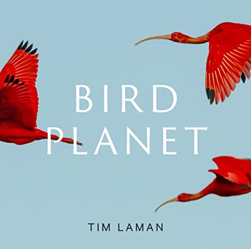 Bird Planet A Photographic Journey By Laman Tim Hardcover