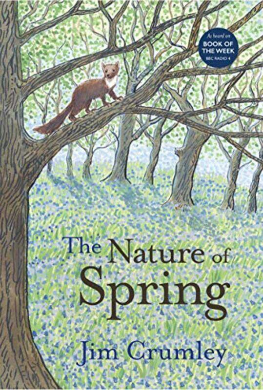 

The Nature of Spring by Wendi Gratz-Paperback