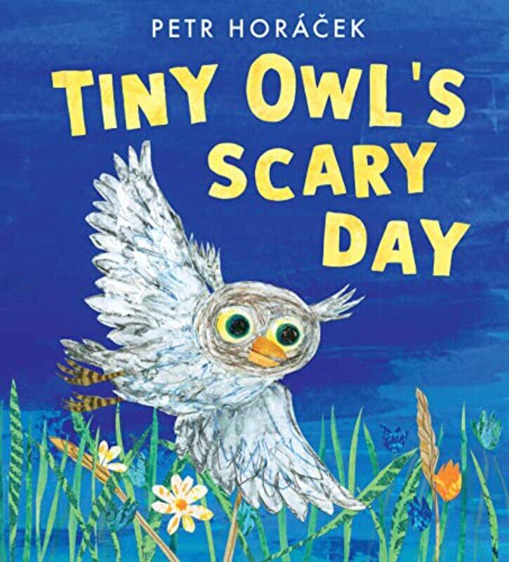 

Tiny Owls Scary Day by Petr HoracekPetr Horacek-Hardcover