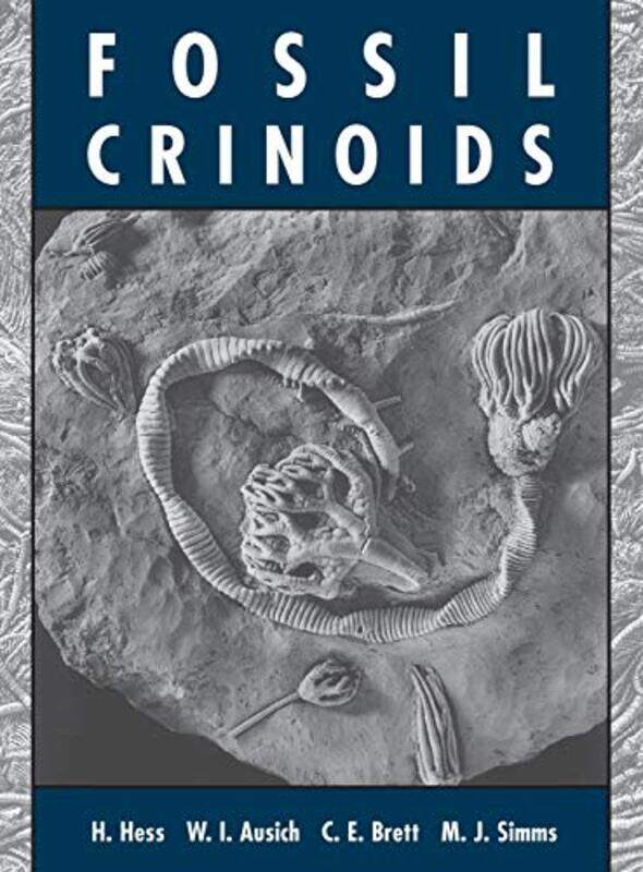 

Fossil Crinoids by Matthew FarberMichele Knobel-Hardcover