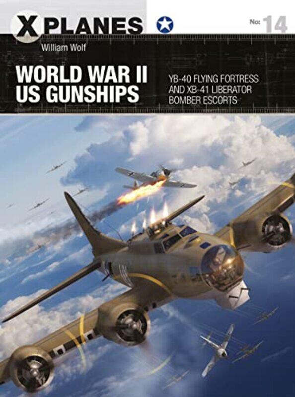 

World War Ii Us Gunships by Dr William WolfAdam Tooby-Paperback