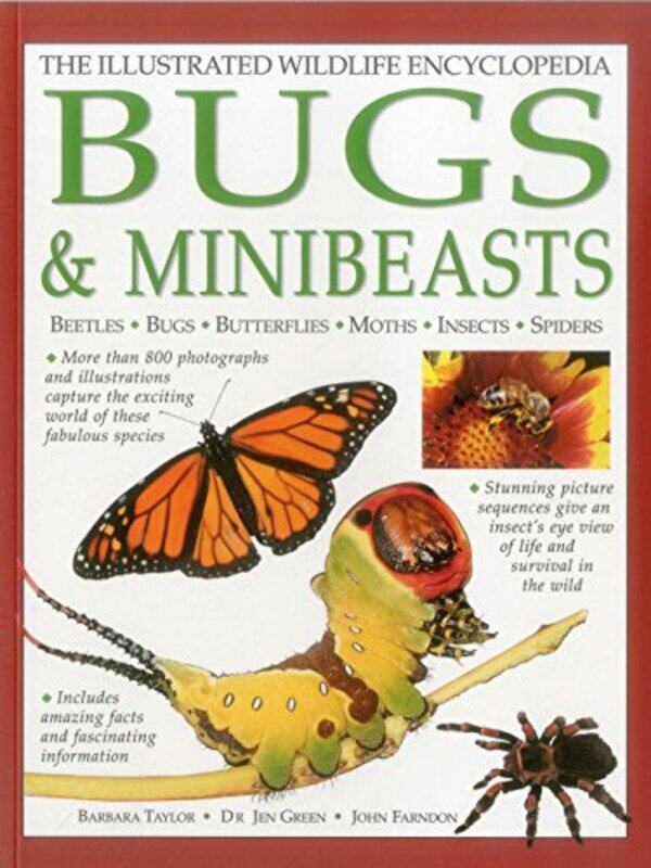 

Illustrated Wildlife Encyclopedia Bugs & Minibeasts by Harvard Business Review-Hardcover