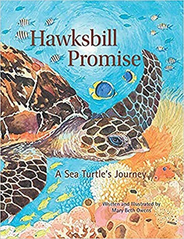 

Hawksbill Promise by Yingjiao XuTing ChiJin Su-Hardcover