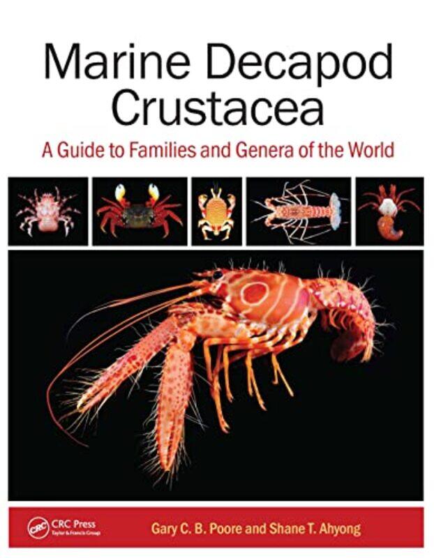 

Marine Decapod Crustacea by Christian Jennings-Hardcover