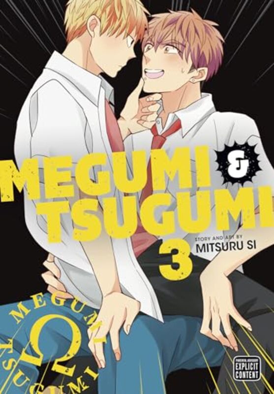 Megumi and Tsugumi Vol 3 by Mitsuru Si-Paperback