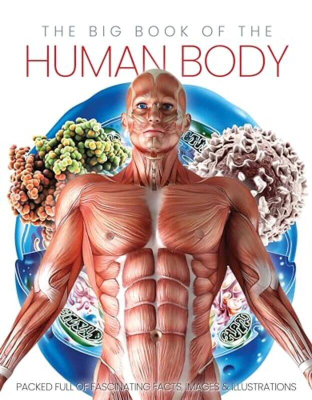 

The Big Book of the Human body by Ray LaPierre-Hardcover