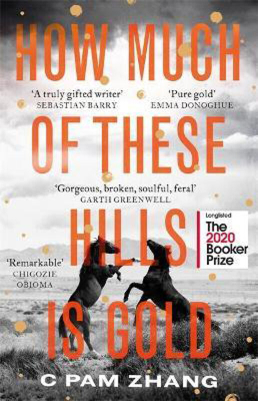 

How Much of These Hills is Gold: 'A tale of two sisters during the gold rush ... beautifully written' The i, Best Books of the Year, Paperback Book, B