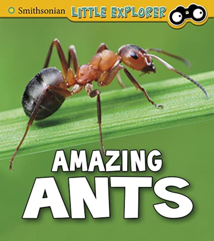 Amazing Ants by Alice Surrey and Sussex Healthcare NHS Trust MyersTheophilus Surrey and Sussex Healthcare NHS Trust Samuels-Hardcover