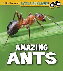 Amazing Ants by Alice Surrey and Sussex Healthcare NHS Trust MyersTheophilus Surrey and Sussex Healthcare NHS Trust Samuels-Hardcover