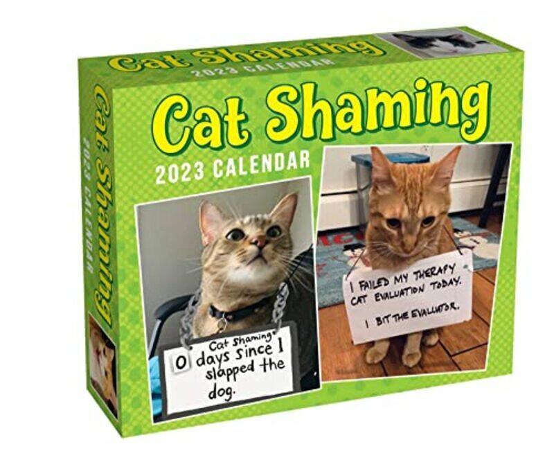 

Cat Shaming 2023 Day-to-Day Calendar,Paperback,By:Andrade, Pedro