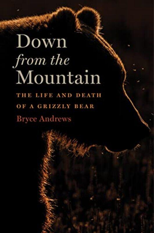 

Down From The Mountain by Bryce Andrews-Hardcover