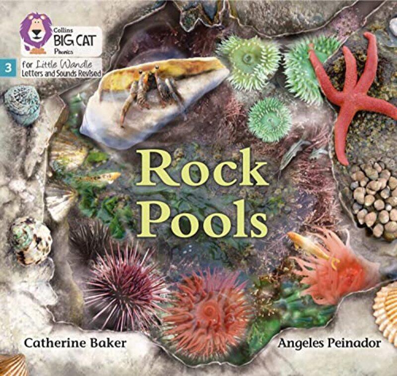 

Rock Pools by Catherine BakerAngeles Peinador-Paperback