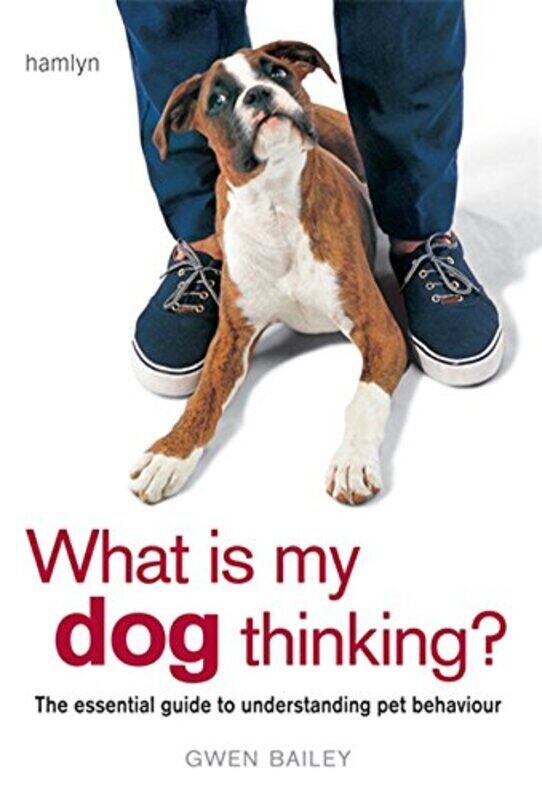 

What is My Dog Thinking: The Essential Guide to Understanding Your Pet, Paperback Book, By: Gwen Bailey