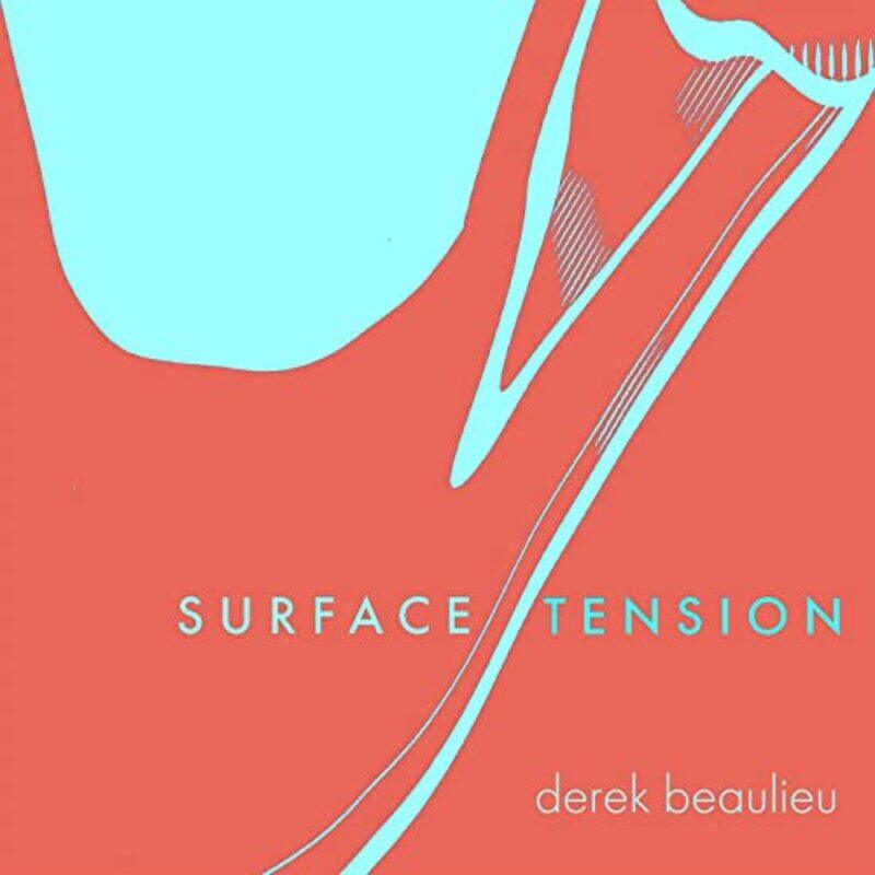 

Surface Tension by Derek Beaulieu-Paperback