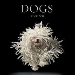 Dogs By Flach Tim - Blackwell Lewis - Hardcover