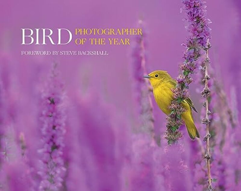 Bird Photographer of the Year by Martin University of the Highlands and Islands at Perth Price-Hardcover