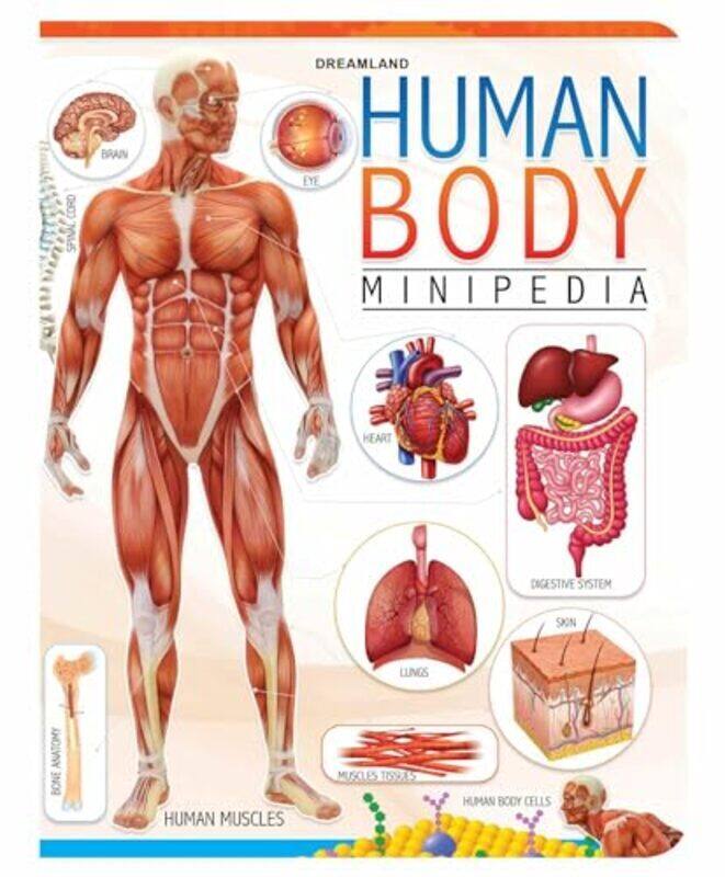 

Human Body Minipedia by Dreamland Publications - Paperback