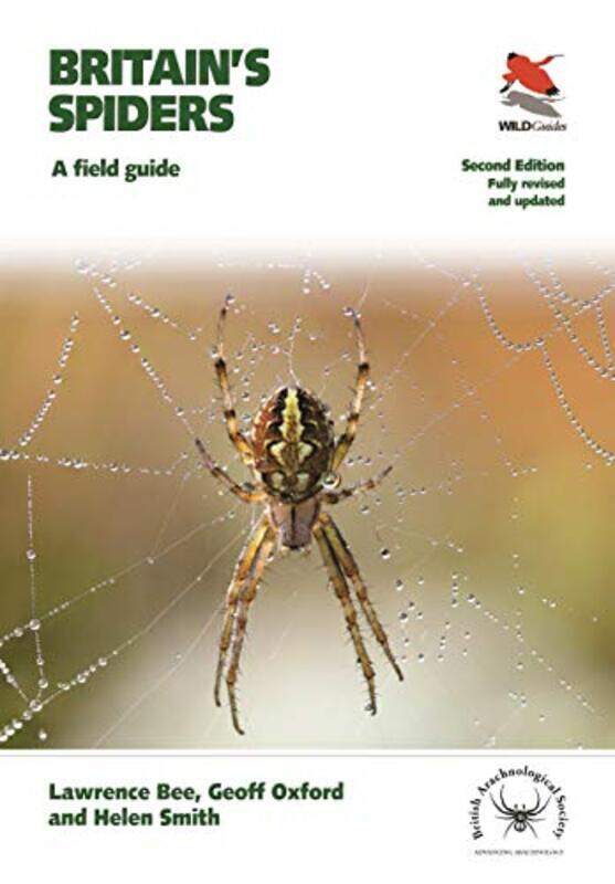 

Britains Spiders by Robin Robin McKenzie McKenzieCraig Craig Kubey Kubey-Paperback