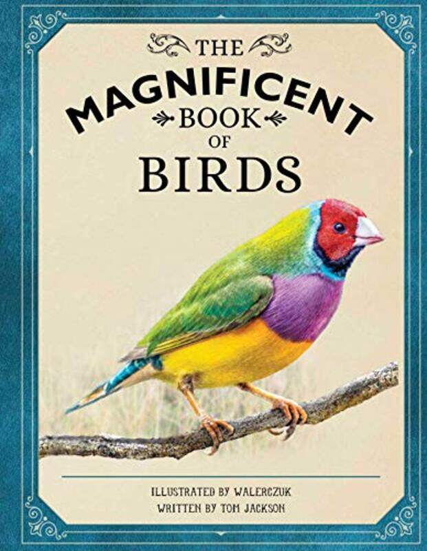 

The Magnificent Book Of Birds By Owen Weldon - Hardcover