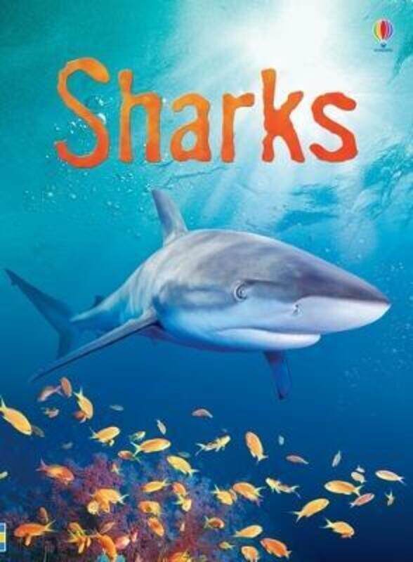 

Sharks (Usborne Beginners).Hardcover,By :Catriona Clarke