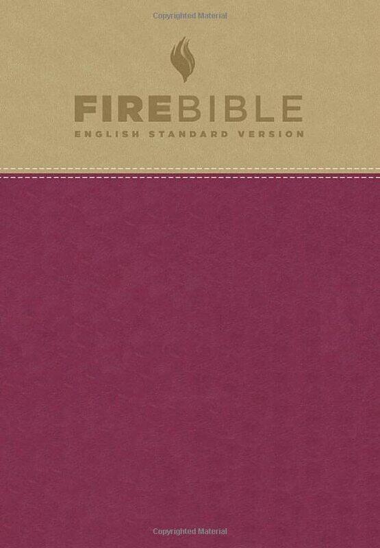 

Fire Bible-Esv By Stamps Donald - Hardcover