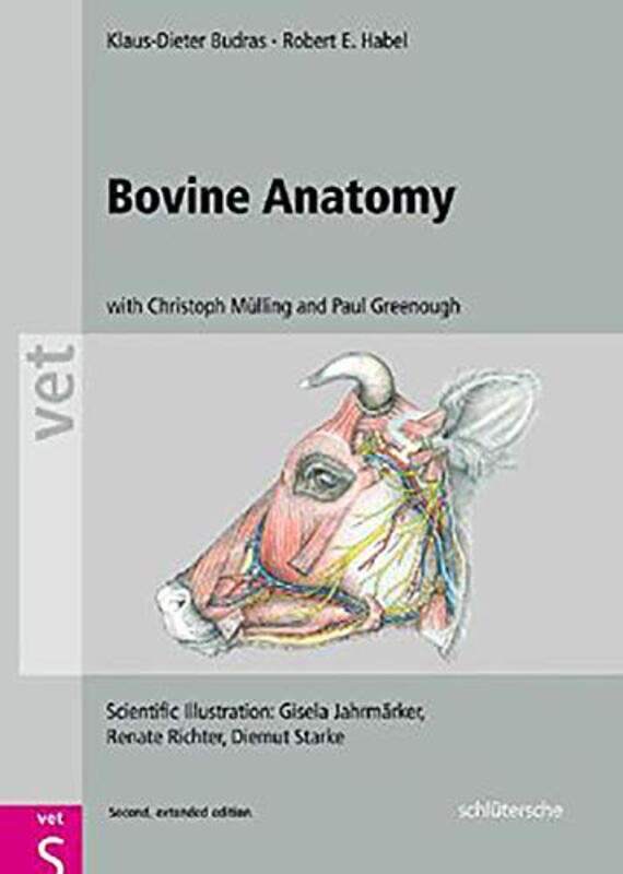 

Bovine Anatomy by Jessica Royal United Services Institute London UK White-Hardcover