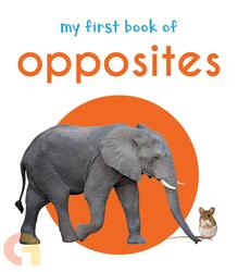 My First Book Of Opposites: First Board Book, Board Book, By: Wonder House Books