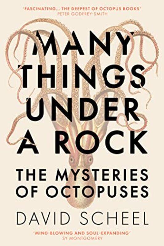 

Many Things Under a Rock by David Scheel-Hardcover