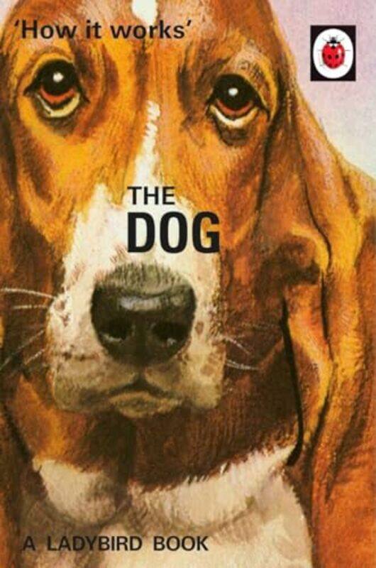 

How it Works The Dog by Plum HuttonFreddie Hodge-Hardcover