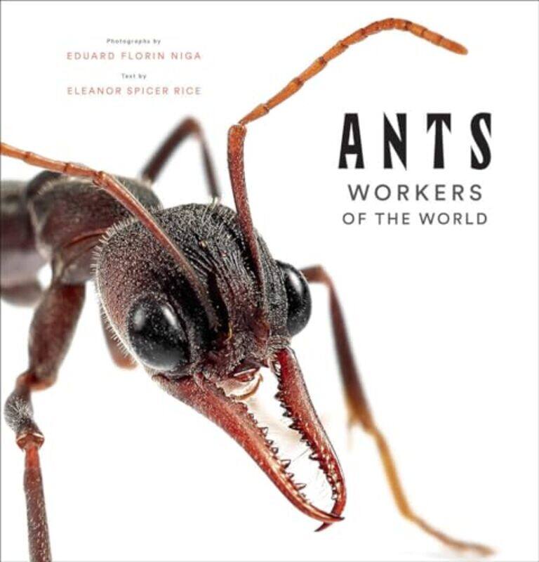 

Ants Workers of the World by Elaine Regent's School of Psychotherapy and Psychology Regent's University London UK Kasket-Hardcover