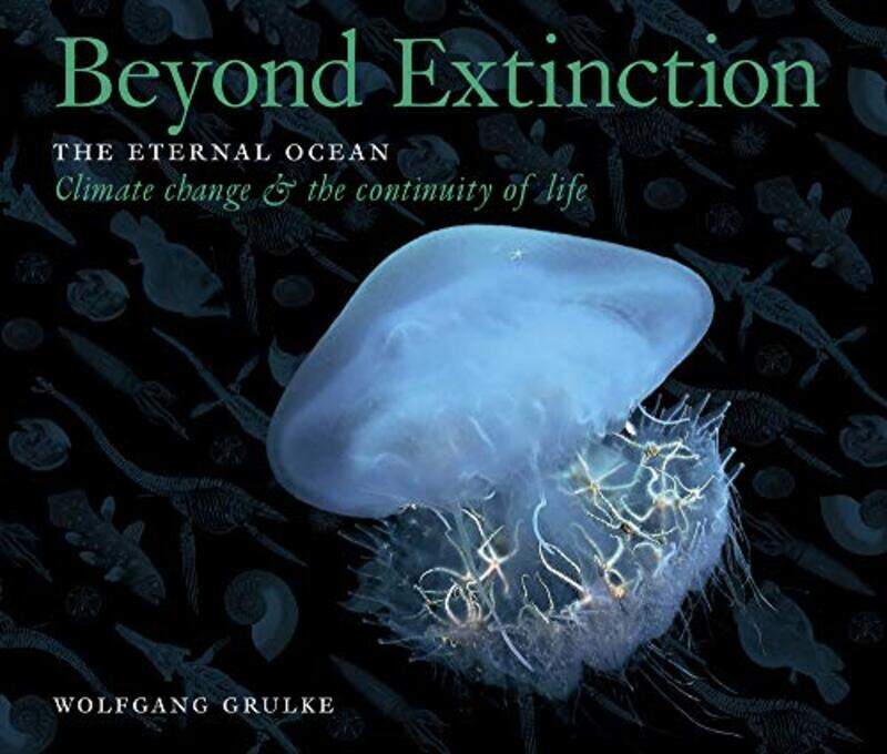 

Beyond Extinction The Eternal Ocean Climate Change and the Continuity of Life by Wolfgang Grulke-Hardcover