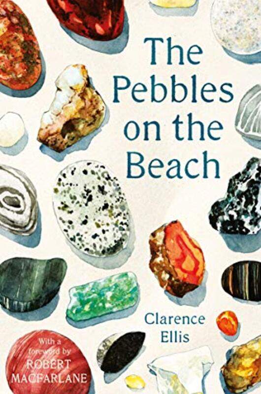 

The Pebbles on the Beach by Katty Baird-Paperback