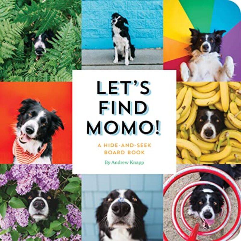 

Lets Find Momo A Hideandseek Board Book by Knapp, Andrew-Paperback
