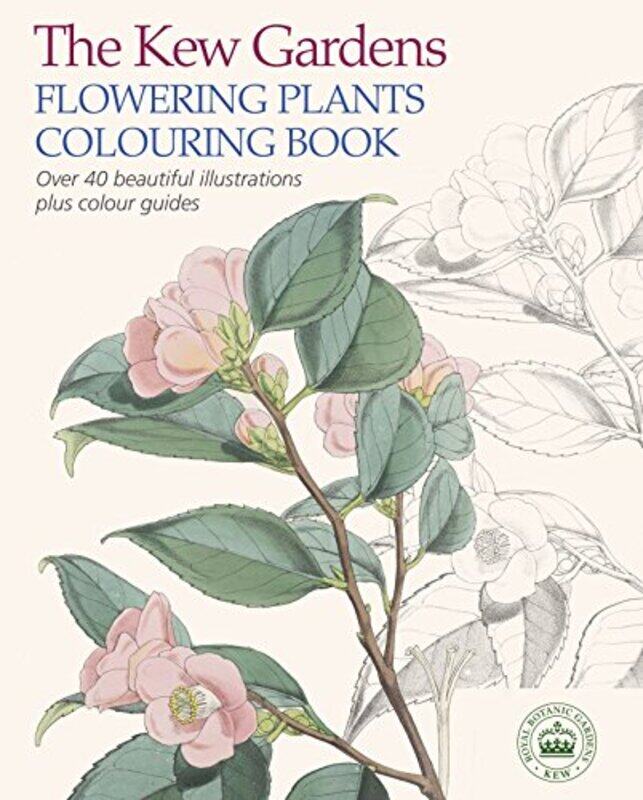 

The Kew Gardens Flowering Plants Colouring Book Over 40 Beautiful Illustrations Plus Colour Guides By The Royal Botanic Gardens Kew -Paperback