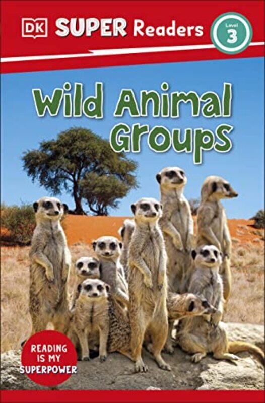 

Animal Groups Paperback by DK
