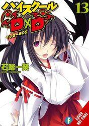 High School DxD Vol 13 light novel by Ichiei Ishibumi-Paperback