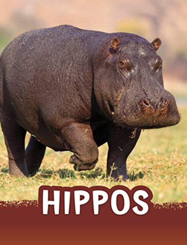 

Hippos by Jaclyn Jaycox-Paperback