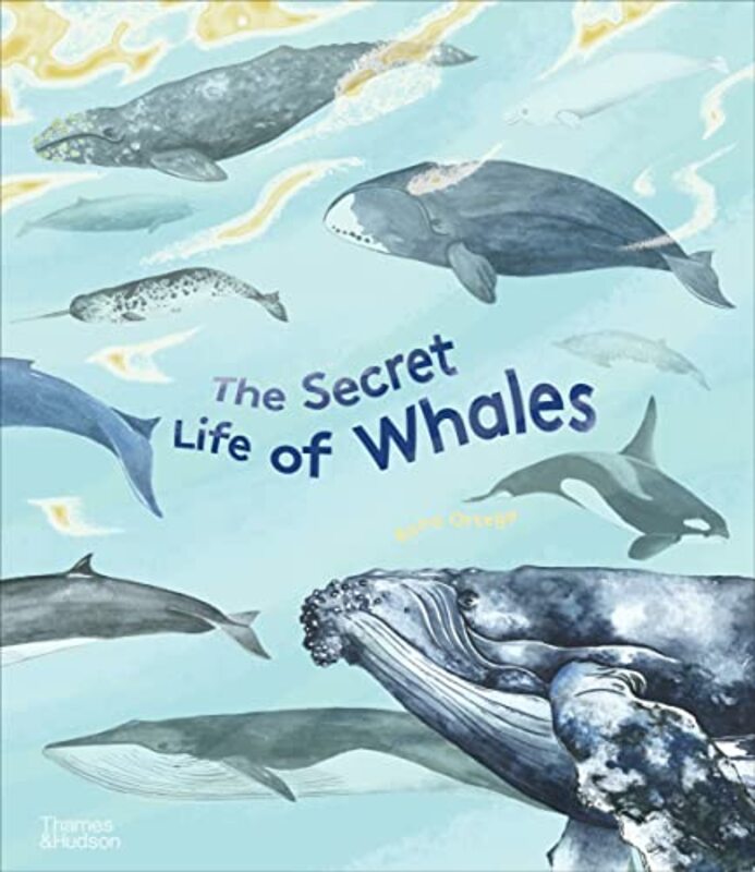 

The Secret Life of Whales by Michio Kaku-Hardcover