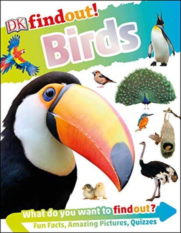 

DKfindout! Birds , Paperback by DK