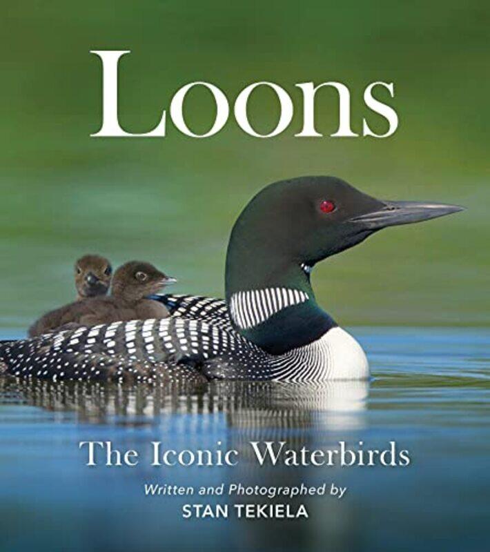 

Loons by Workman Publishing-Paperback