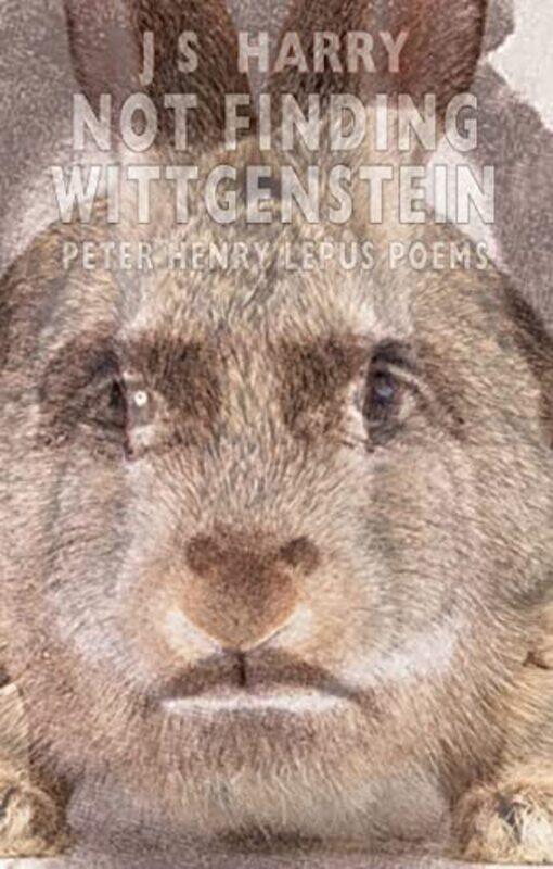

Not Finding Wittgenstein by J S Harry-Paperback
