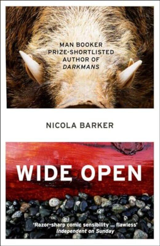 

Wide Open by Nicola Barker-Paperback