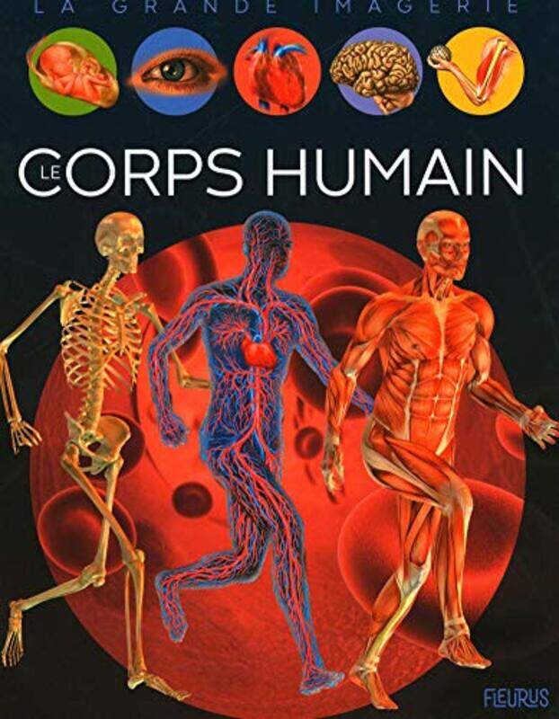 

LE CORPS HUMAIN,Paperback,by:FRANCO/DAYAN