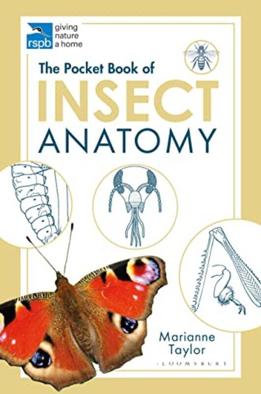 

The Pocket Book of Insect Anatomy by Toby Martin-Paperback