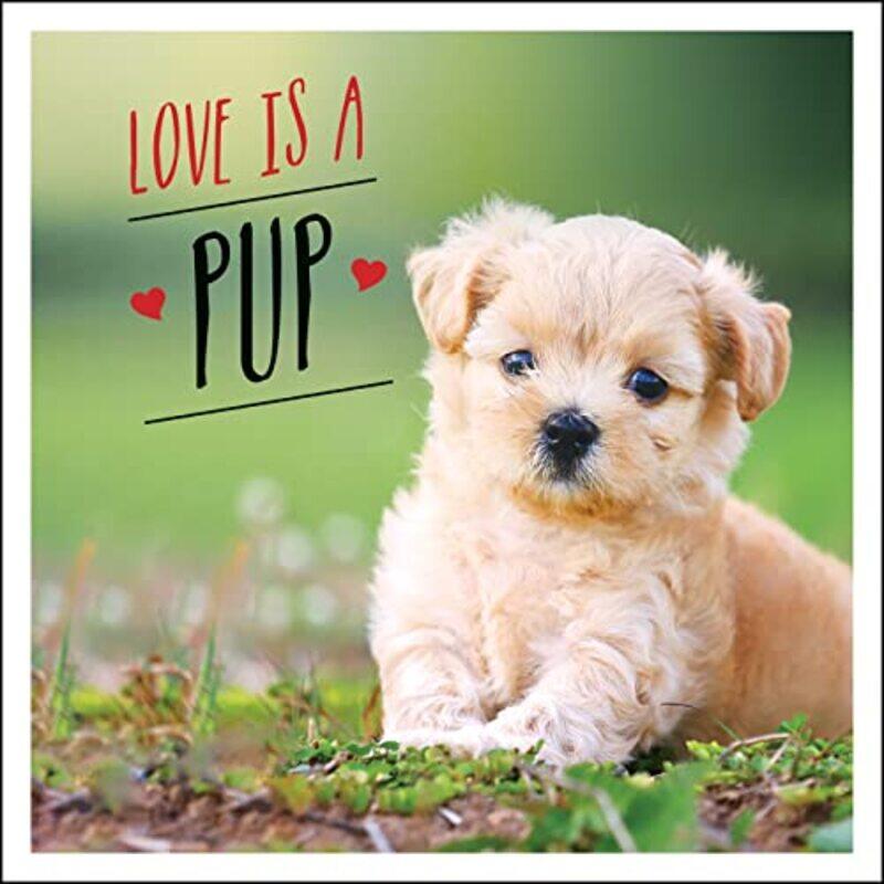 

Love is a Pup by CGP BooksCGP Books-Hardcover