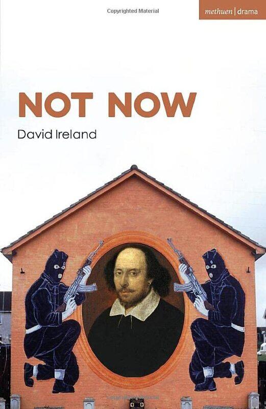 

Not Now by Mr David Ireland-Paperback